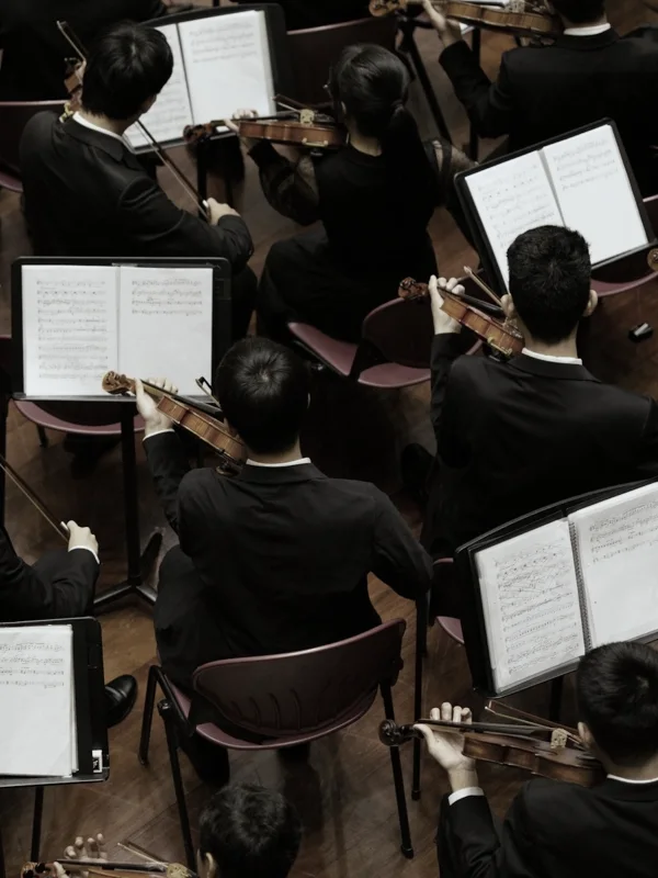 An orchestra